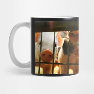 Perfectly Playful Piggies Mug
